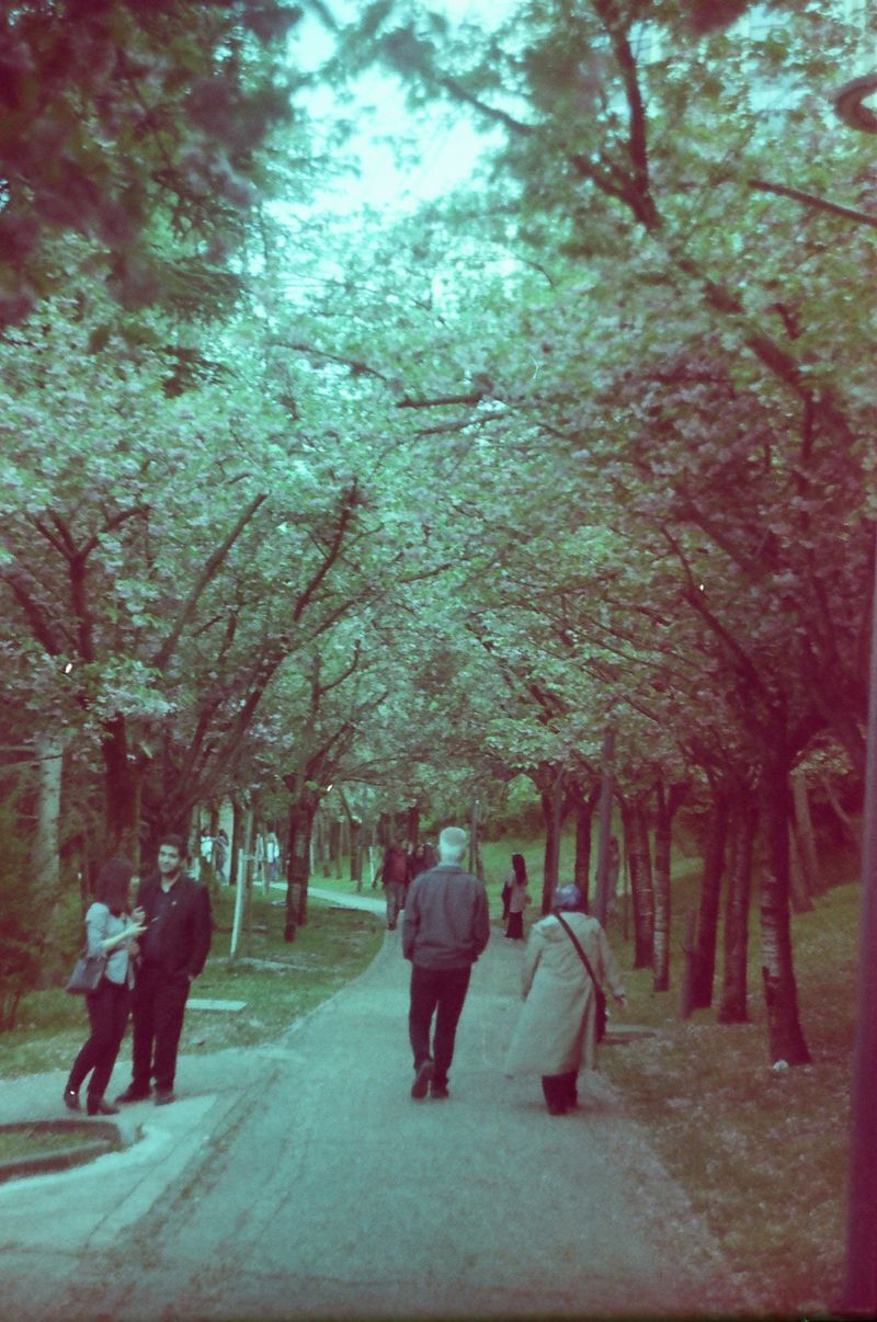 People walking along a scenic park pathway